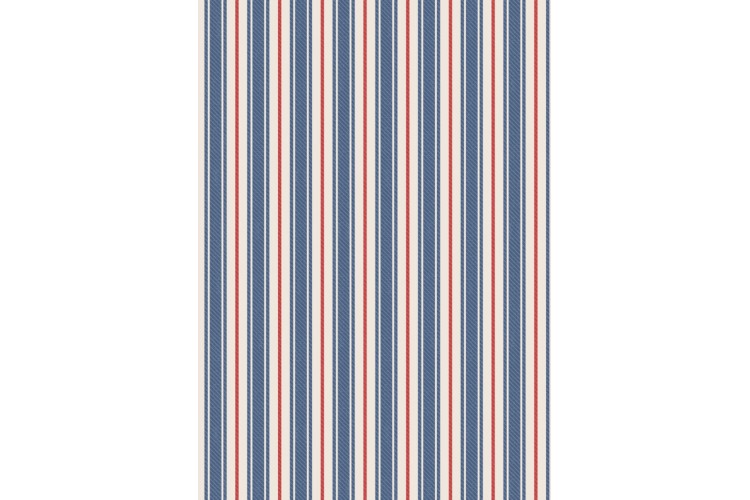 Blue & Red Ticking Stripe Flannel