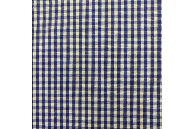 Blue Cotton Gingham