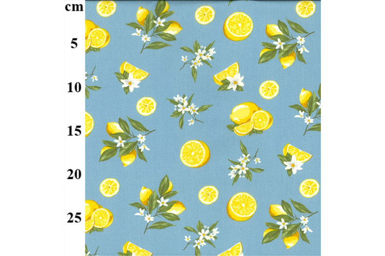 Citrus on Denim Cotton Poplin