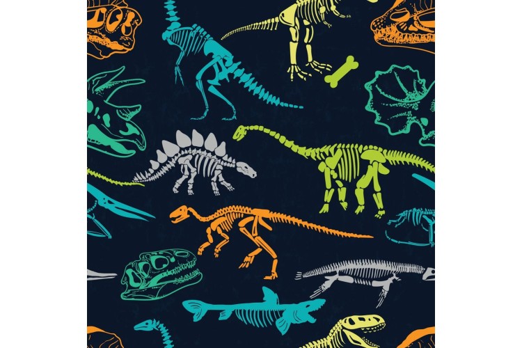 Dinosaur Fossils