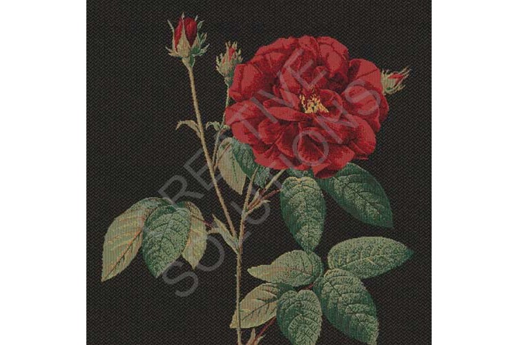 Elegant Rose Cushion Panel