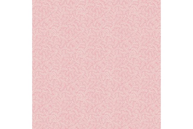 Fern Pink