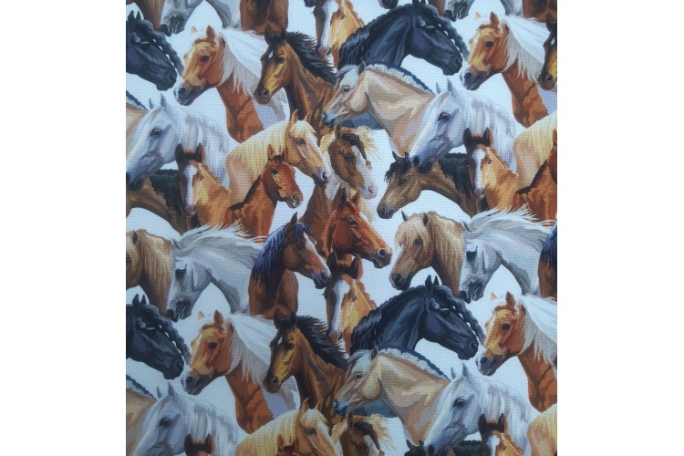 Horses Cotton Canvas