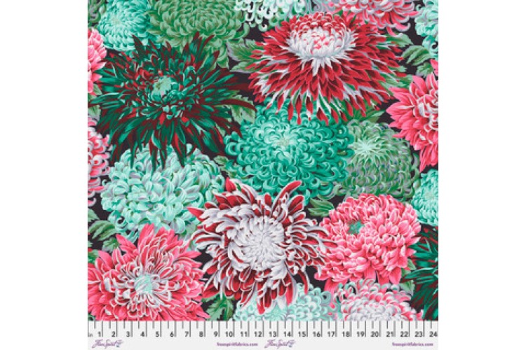 Japanese Chrysanthemum Blush