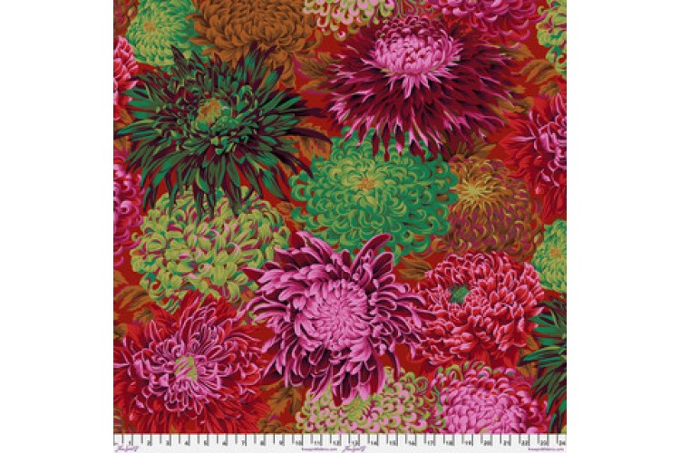 Japanese Chrysanthemum Scarlet