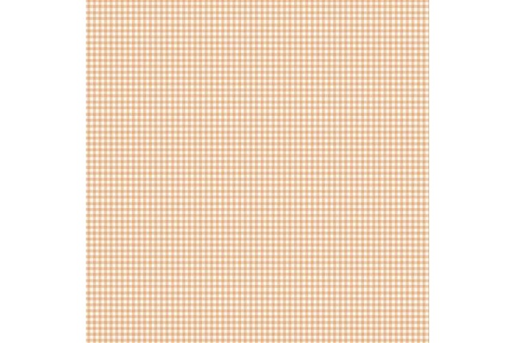 Little Ones Gingham Coral