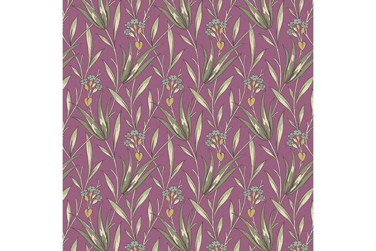 Milkweed Purple