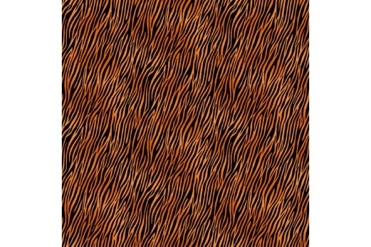 Orange Zebra 