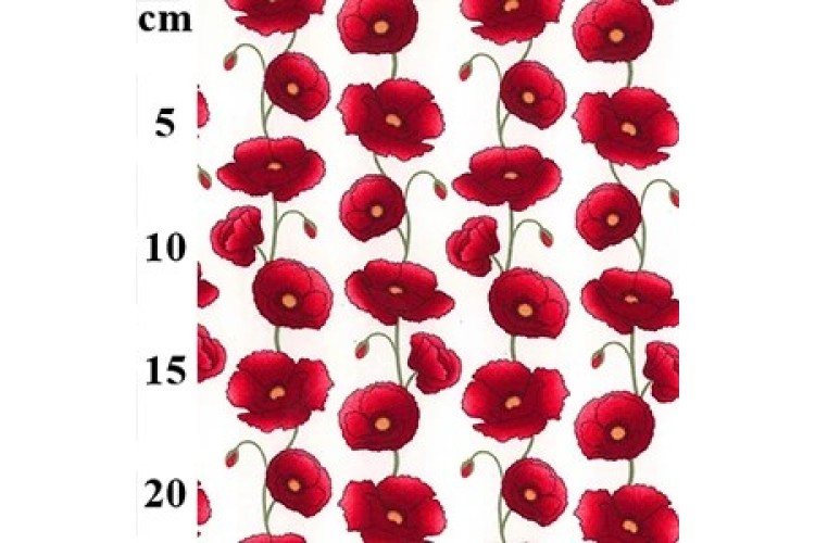 Poppies Ivory Cotton Poplin