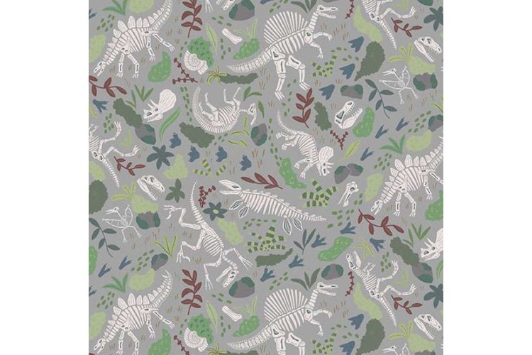 Prehistoric Fossils Grey