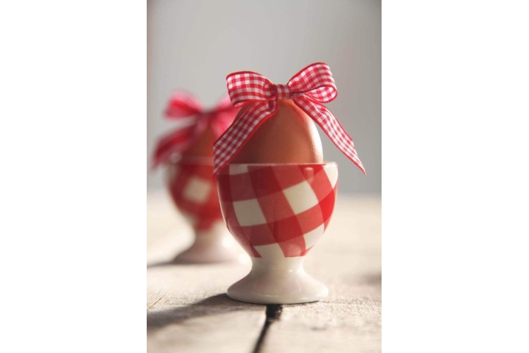Ribbon Red Gingham 10mm 
