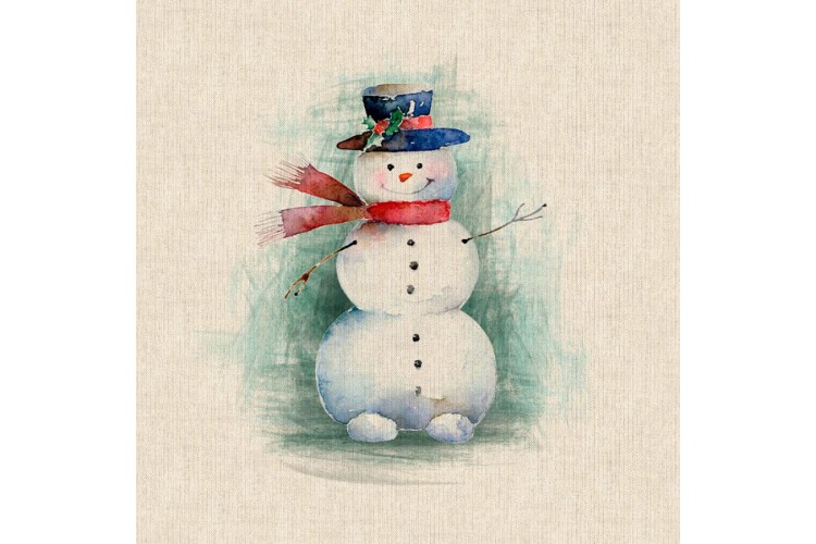 Snowman Cushion Panel