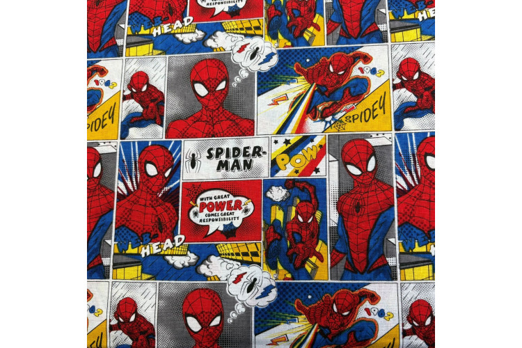 Spiderman Comic Strip