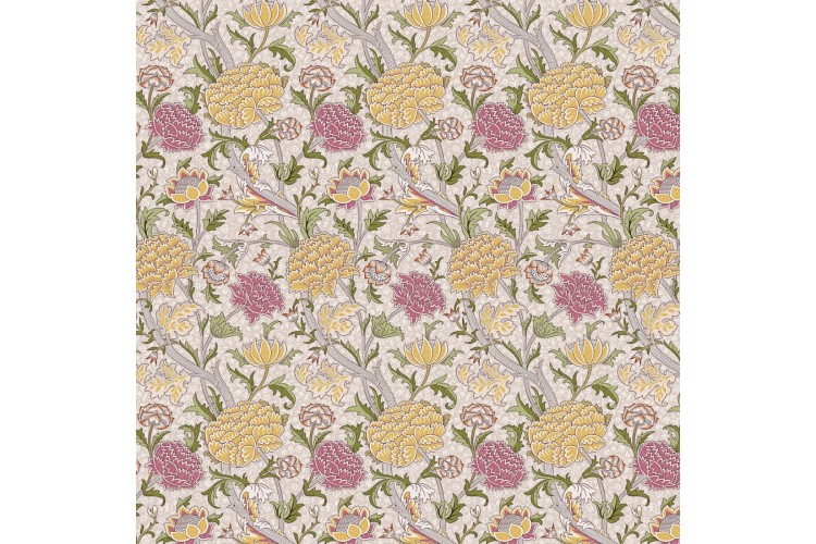 The Cray Stardust Cotton
