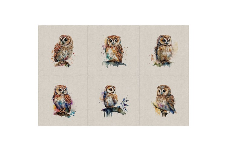 Watercolour Owl 6 x Assorted Panels